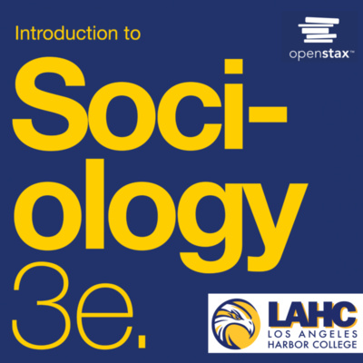 Chapter 11 - Race and Ethnicity by Introduction to Sociology - OpenStax ...