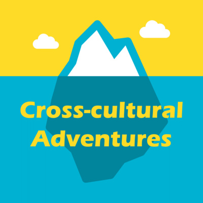 Currently playing episode