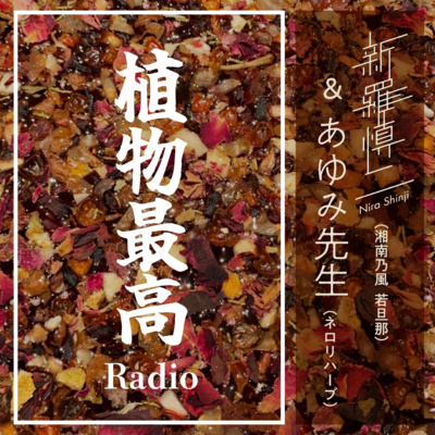 Currently playing episode