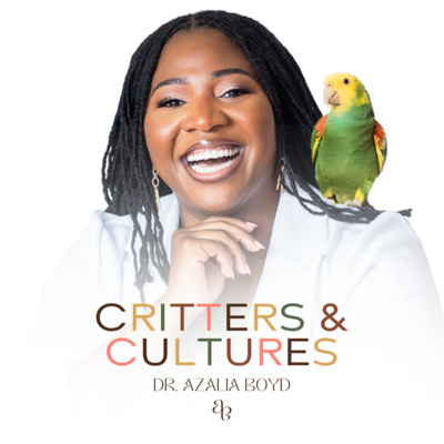 The &lsquo;Model Minority&rsquo; Myth and Beyond: Dr. Katherine Fogelberg on 