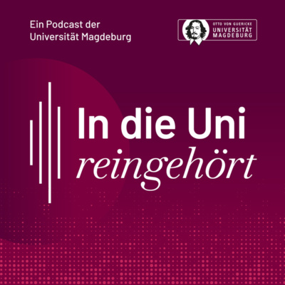 #3: Darum brauchen wir ein Audit zum Thema Diversität