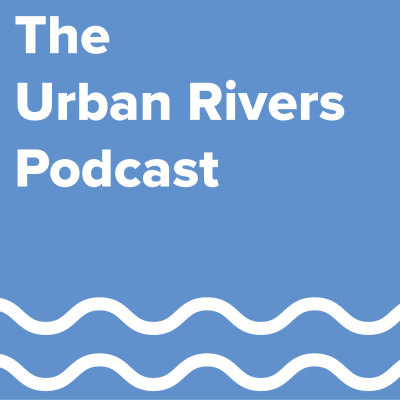 Currently playing episode