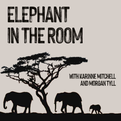 EP26: Elephant in the Room - HSLOT, Life Update, Interpreting Life EP26: Elephant in the Room - HSLOT, Life Update, Interpreting Life